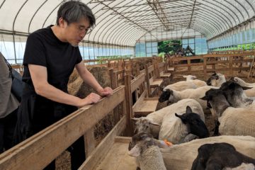 PXL_20240608_051922460